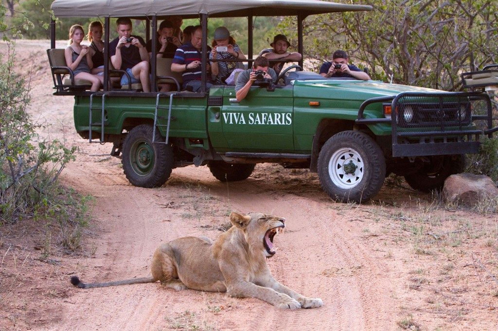 TourSA Kruger Park Safari
